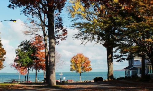 Fall-in-Lakeside