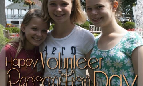 Happy-Volunteer-Recognition-Day-Infographic